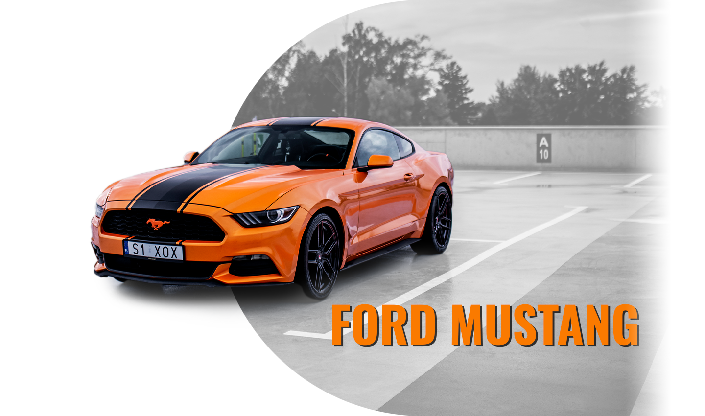 Pomarańczowy Ford Mustang na szarym tle